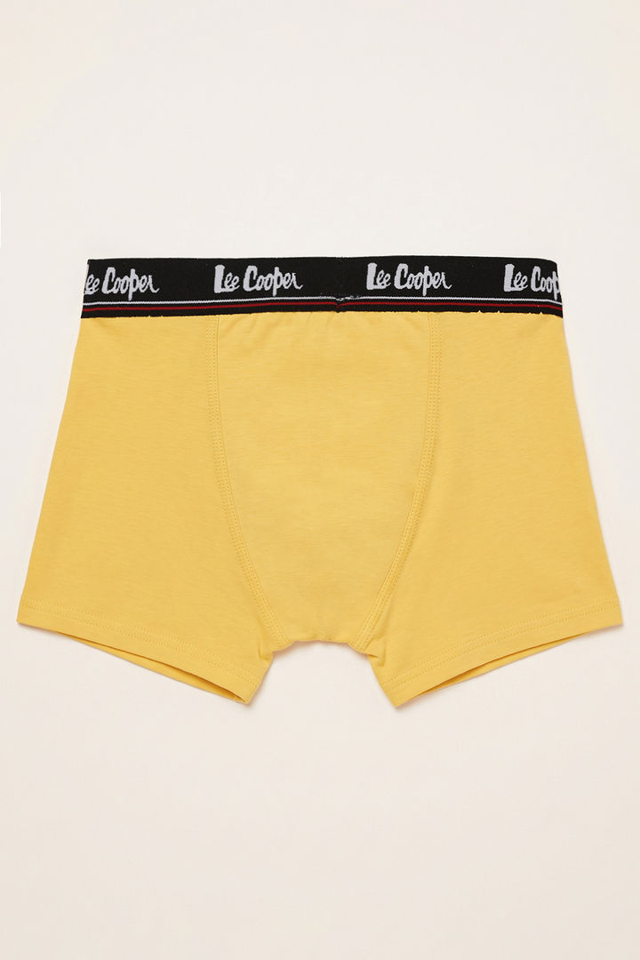 Lee Cooper Boys Harry Potter Trunks (Pack of 3) - Multicolor — image 3